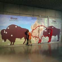 Rezerwat Pokazowy Żubrów