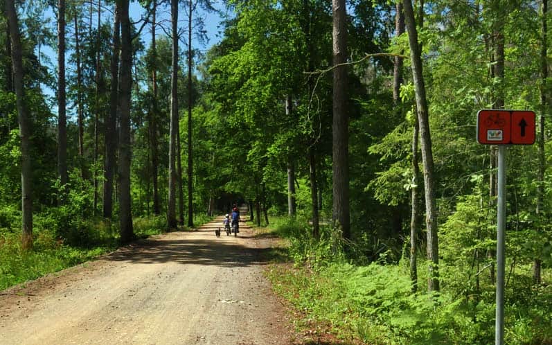 szlak rowerowy green Velo - Droga Hajnowska