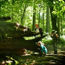 Spacer z przewodnikiem do rezerwatu ścisłego BNP