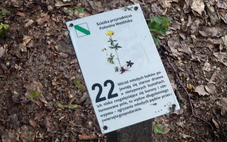 Na tabliczkach krótkie, zwięzłe informacje – często naprawdę „ciekawe ciekawostki”