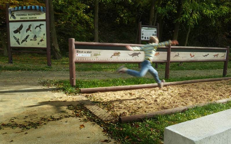 Measure or jump as far as a frog, otter, fox, or maybe a lynx or deer?