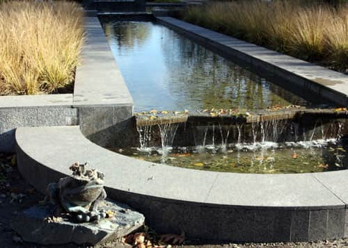 kaskadowa sadzawka z żabką