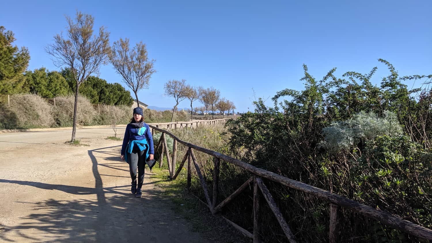Molentargius Saline Regional Park
