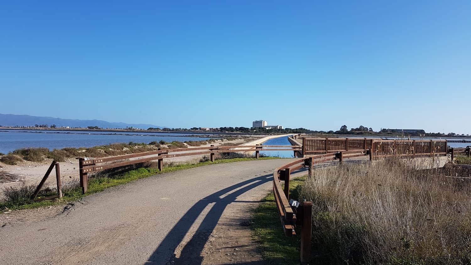 Molentargius Saline Regional Park