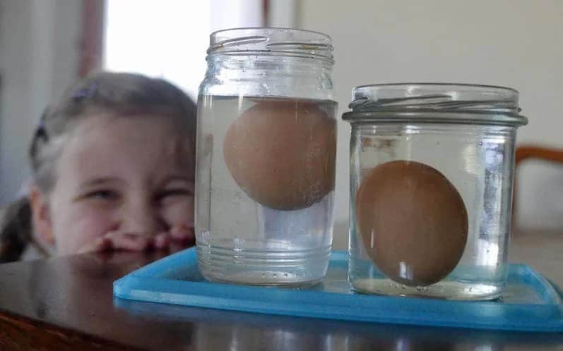 Eksperymenty z jajkiem