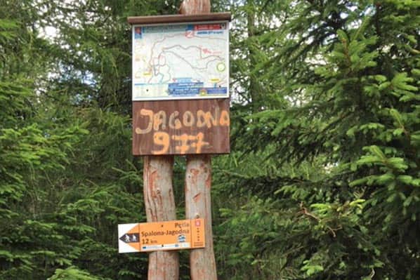 Szczyt Jagodna