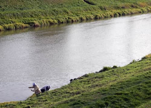 zielone brzegi Wisłoka