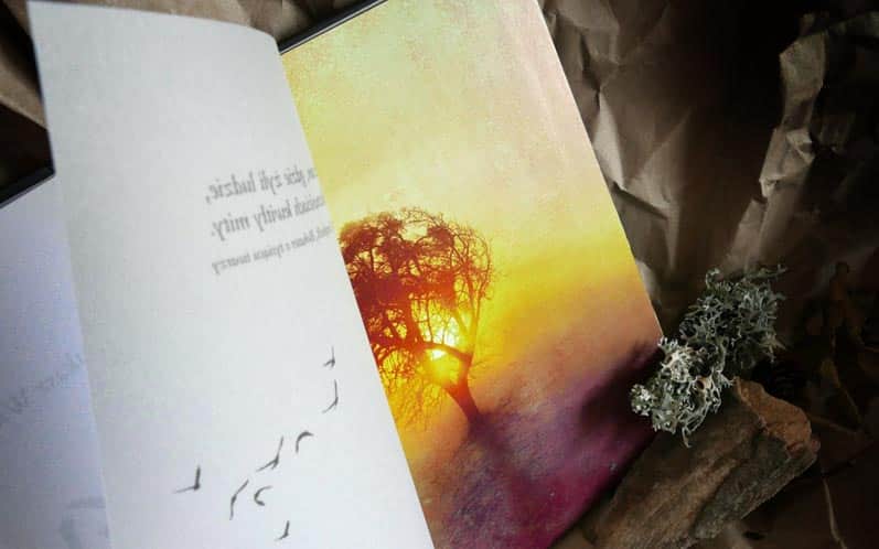 Drzewo. Mity słowiańskie i inne opowieści.