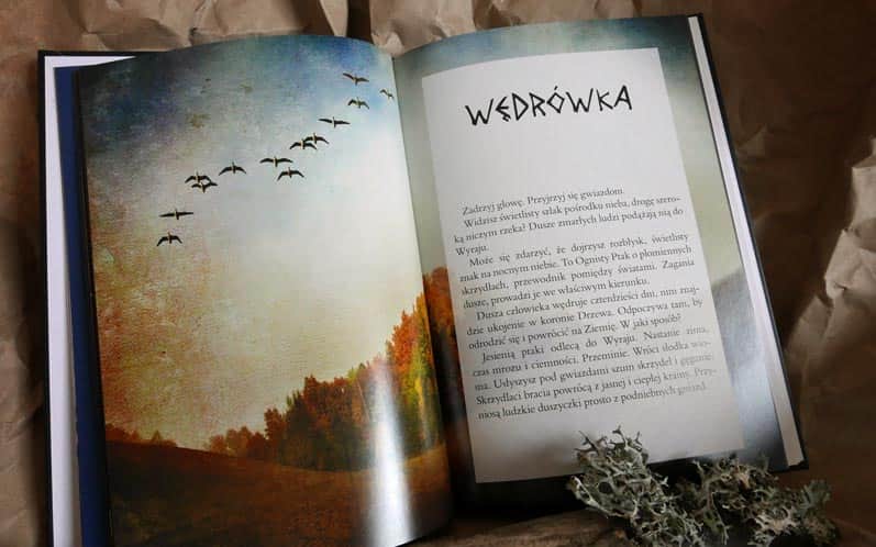 Drzewo. Mity słowiańskie i inne opowieści.