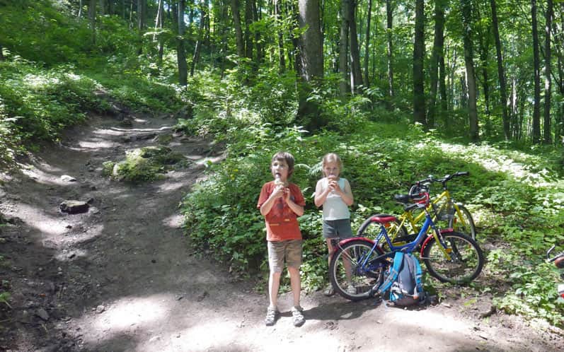Forest trail to Rudno Castle