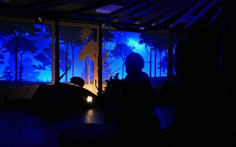CEE Symbiosis: "night room"