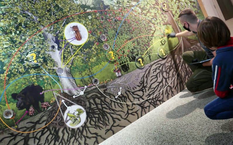CEE Symbiosis: a network of connections