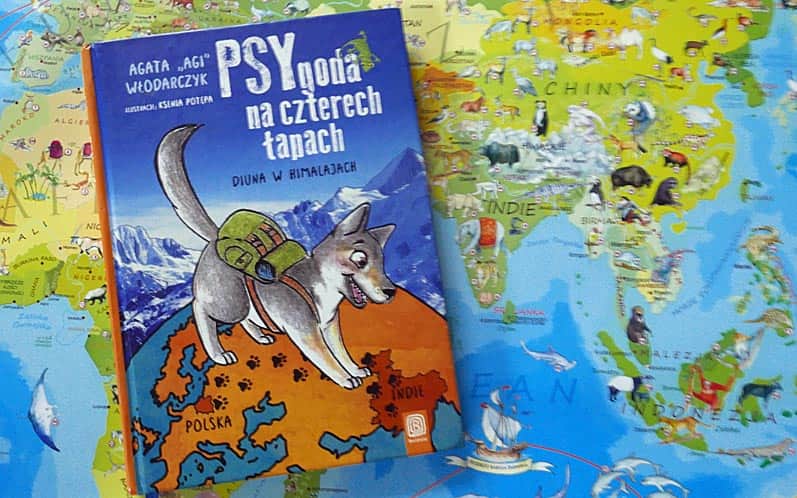 PSYgoda na czterech łapach