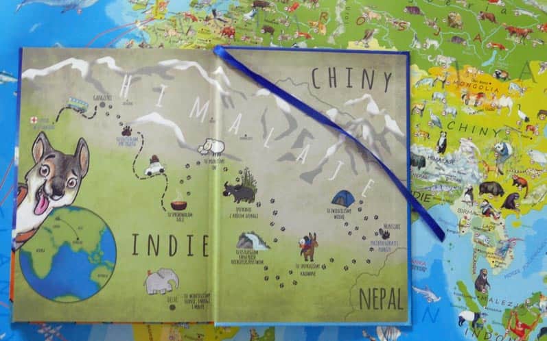 PSYgoda na czterech łapach