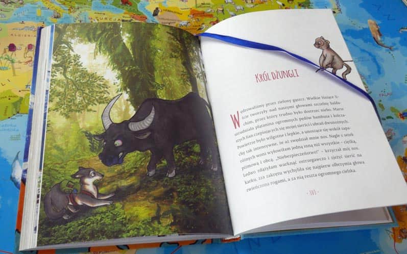 PSYgoda na czterech łapach