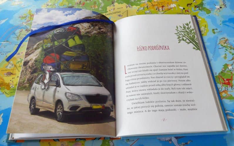 PSYgoda na czterech łapach