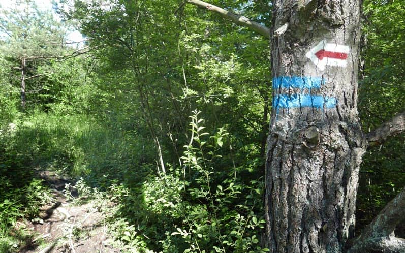 czerwony szlak: przełęcz Majdan - Bacówka PTTK Bartne