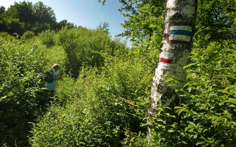 Szlak graniczny z przełęczy Beskid