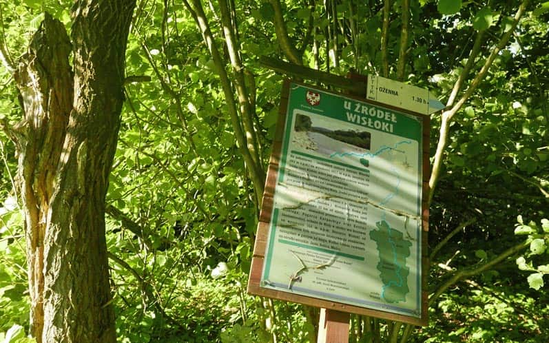 Szlak graniczny z przełęczy Beskid - przewrócona tablica informacyjna w rejonie Dębiego Wierchu