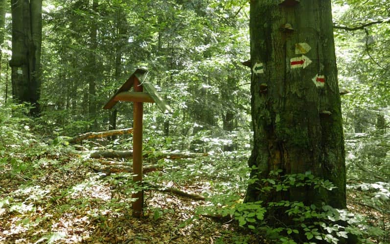 Skrzyżowanie szlaków pod Kamieniem