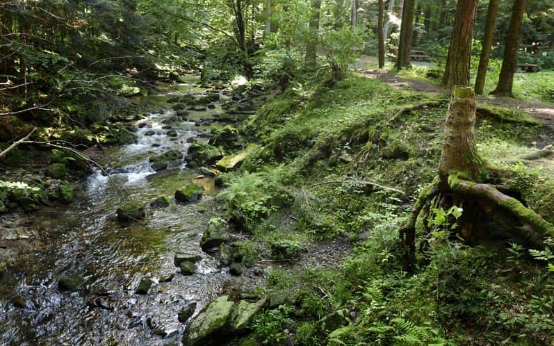 Kłopotnica