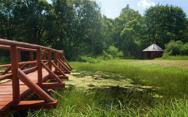 Kiczera Trail - water pond and shelter