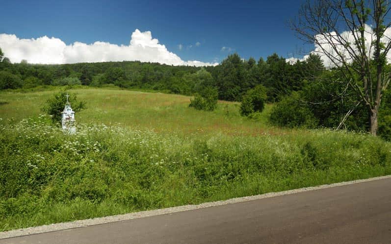 Asphalt road from Krempna