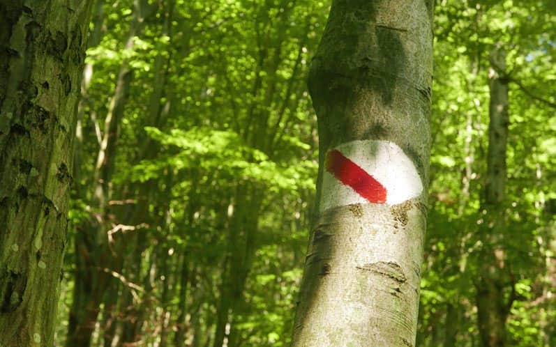 Kiczera Nature Trail - signage