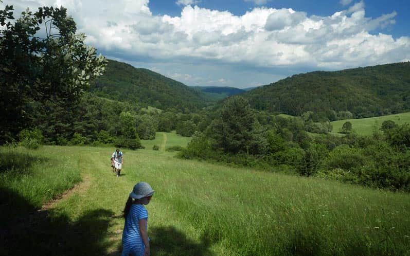 Wysokie - scenic road through meadows