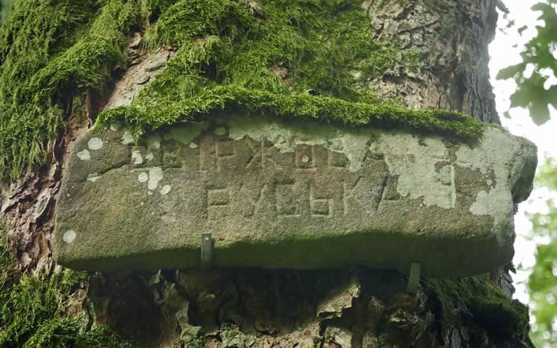 Świerzowa Ruska - weathered sign on a tree
