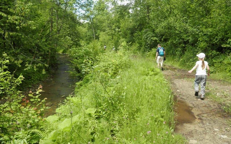 Świerzowa Ruska - road along the stream