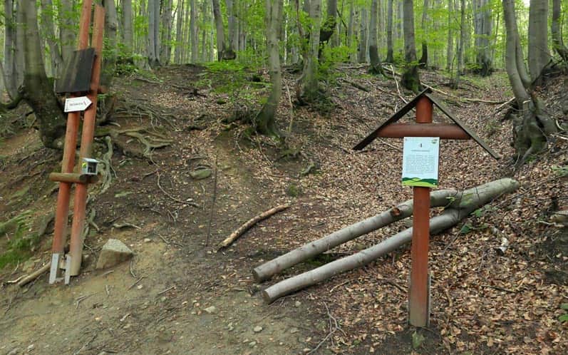 Folusz Path: Stop