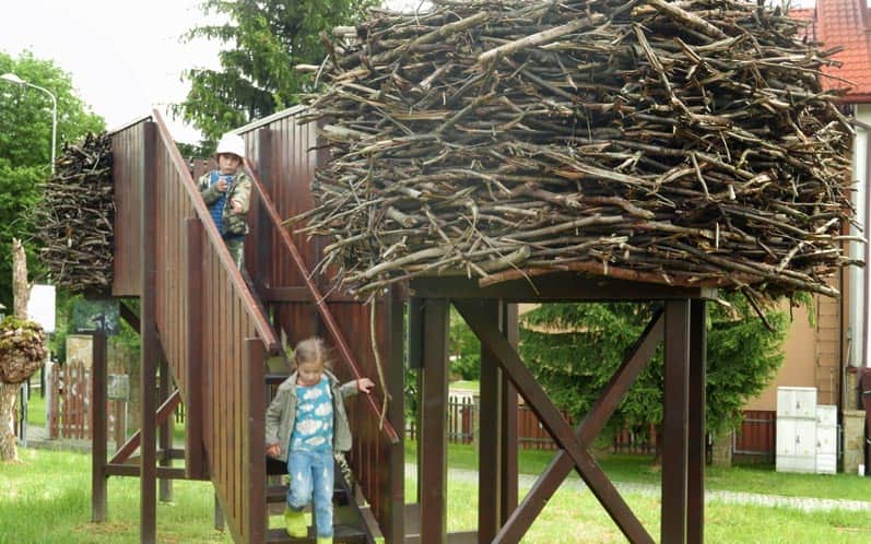 Natural History Museum of the MPN - nests