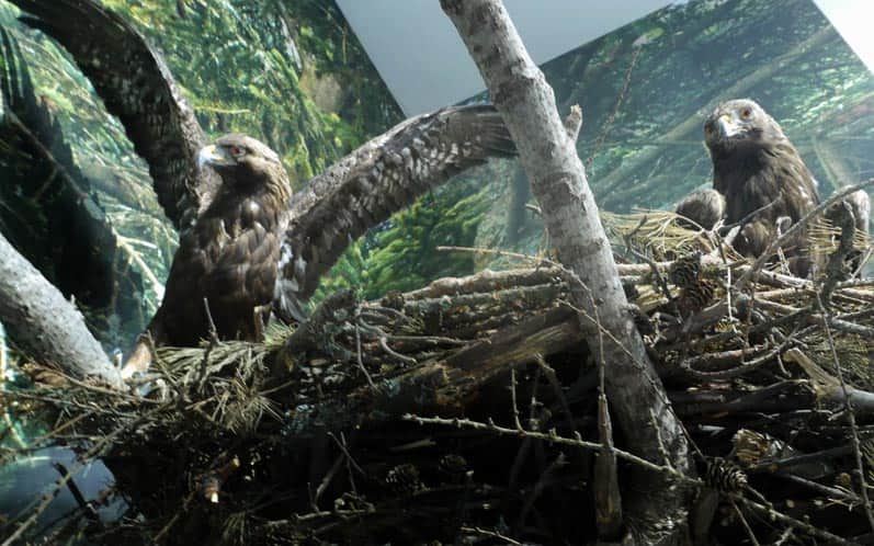 Natural History Museum of the Magurski National Park