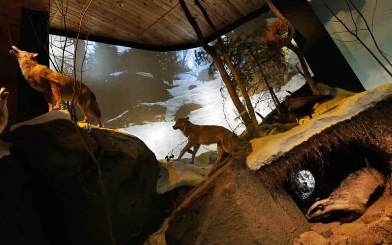 Natural History Museum of the Magurski National Park