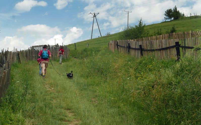 Trail to Łysa Góra: meadows in Kąty