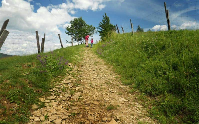 Trail to Łysa Góra: climbing through meadows