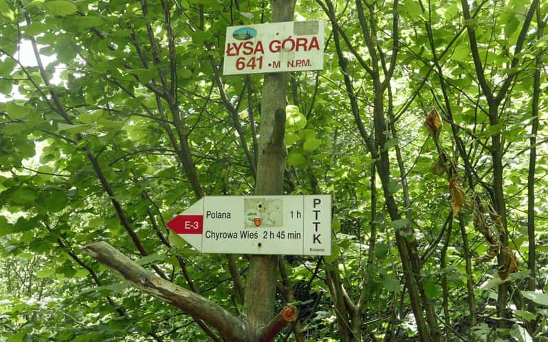 Wooded summit of Łysa Góra above Kąty