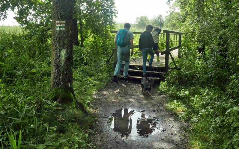 W drodze nad Czarną Hańczę