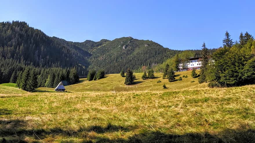 Kalatówki Meadow