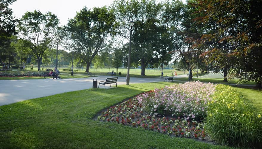 Park Krowoderski - alejki