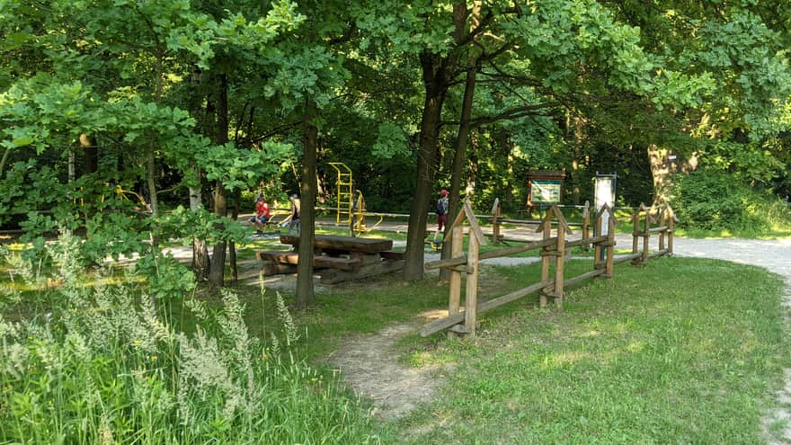 Lipie Forest - fitness area