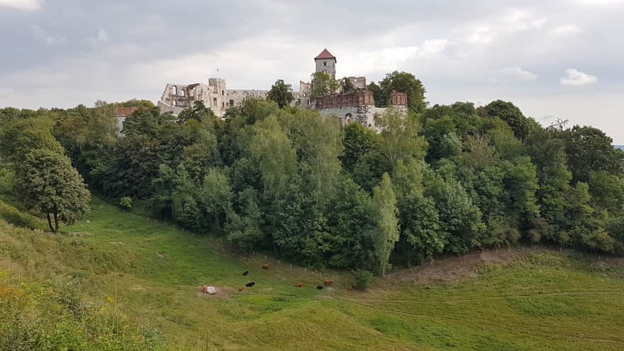 Tenczyn Castle in Rudno
