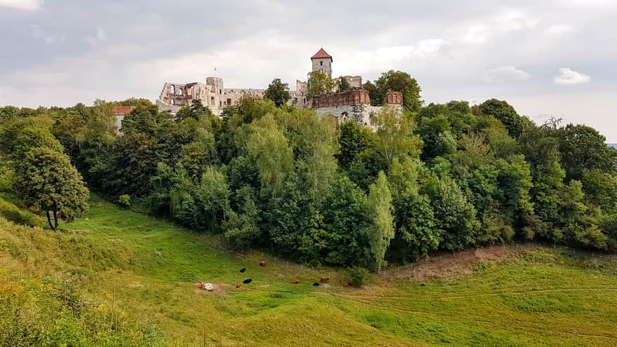 Tenczyn Castle in Rudno