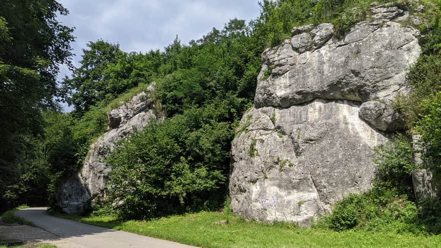 Dolina Kobylańska - początek od strony Kobylan