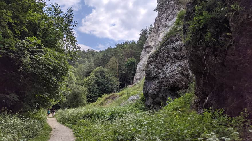 Kobylanska Valley