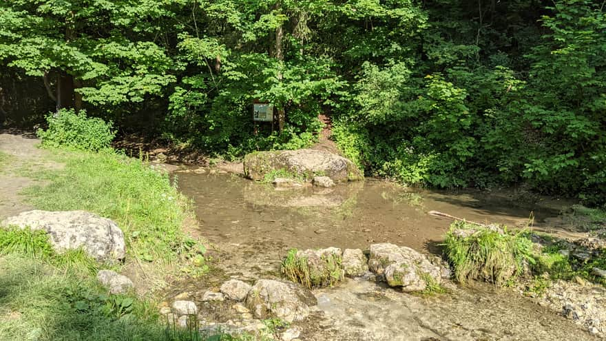 Będkowska Valley - Będkówka Spring