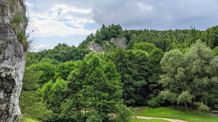 Dolina Kobylańska - widok spod kapliczki