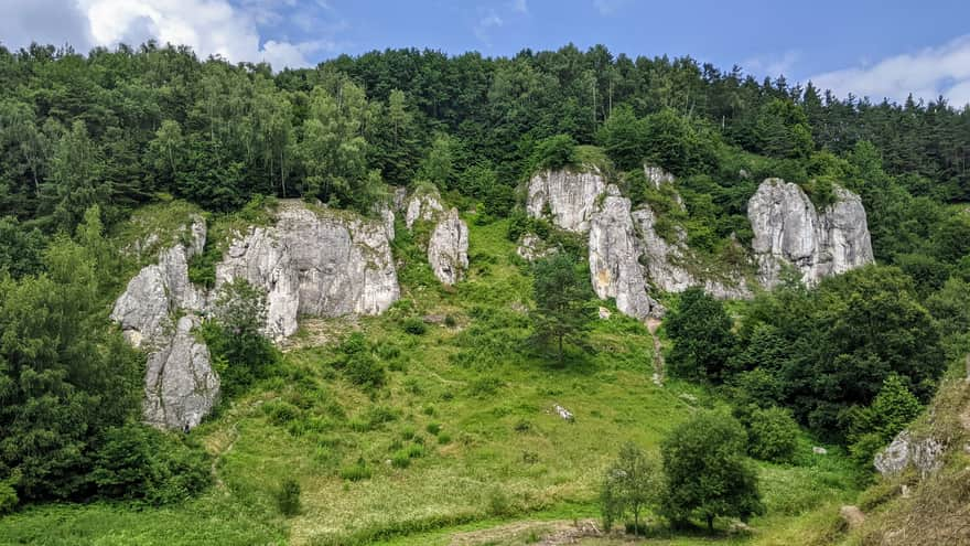 Dolina Kobylańska - widok spod kapliczki