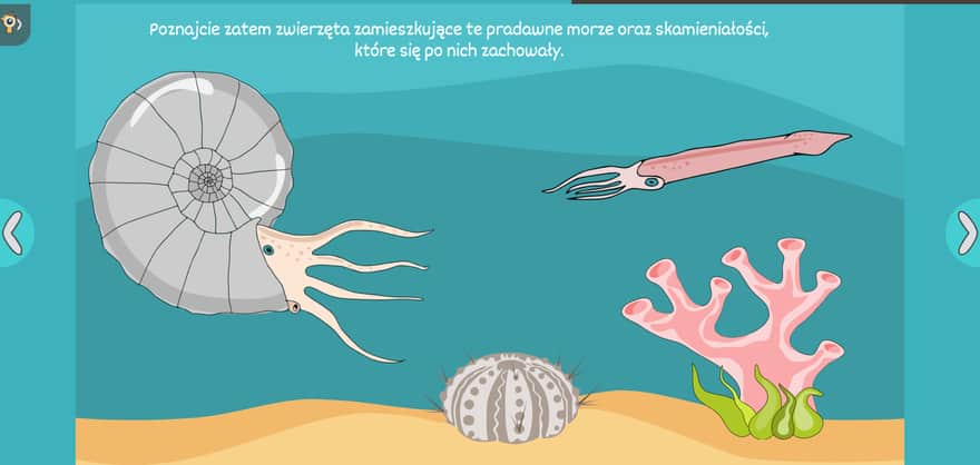 Wizyta u Amonita - multimedialna prezentacja